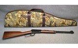 Henry ~ Model H001 Lever Action Rifle ~ .22 S/L/LR - 1 of 9