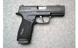 Sig Sauer ~ P365X ~ 9mm Luger