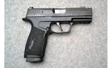 Sig Sauer ~ P365X ~ 9mm Luger - 1 of 3
