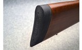 Henry ~ Big Boy Steel Side Gate Rifle ~ .45 Colt - 9 of 9