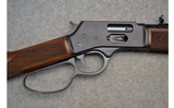 Henry ~ Big Boy Steel Side Gate Rifle ~ .45 Colt - 3 of 9