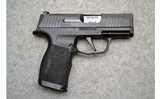 Sig Sauer ~ P365 X ~ 9mm Luger - 1 of 3