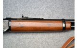 Winchester ~ Model 94 Illinois Sesquicentennial ~ .30-30 Winchester - 5 of 13