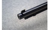 Henry ~ Golden Big Boy Rimfire Rifle ~ .17 HMR - 10 of 11