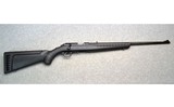 Ruger ~ American Bolt-Action Rifle ~ .22 Long Rifle