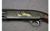 Browning ~ BPS National Wild Turkey Federation 2001 Commemorative Shotgun ~ 12 ga. - 6 of 9