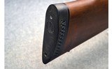 BSA ~ Bolt Action ~ .270 Winchester - 9 of 9