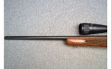 Remington ~ 504 Bolt Action Rimfire ~ .22 LR - 7 of 10