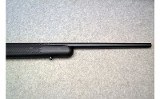 Savage Arms ~ Mark II ~ .17 Mach 2 - 4 of 9