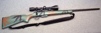 Remington ~ 788 ~ .22-250 Rem