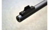 Savage Arms ~ B22 ~ .22 LR - 8 of 10