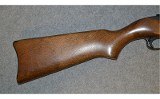 Ruger 10/22 - 2 of 10