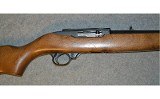 Ruger 10/22 - 4 of 10
