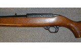 Ruger 10/22 - 8 of 10