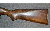Ruger 10/22 - 7 of 10