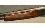 ER Amantino Condor - 9 of 13