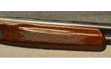 ER Amantino Condor - 4 of 13
