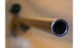 Savage Arms 220 - Image 5 of 12