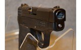 Smith & Wesson M&P Bodyguard - 3 of 5