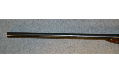 Webley & Scott - Image 11 of 14
