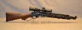 Henry Repeating Arms H010G - Image 1 of 12