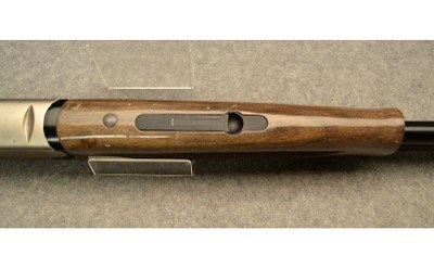 Kral Setter - Image 12 of 13