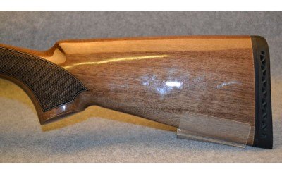Kral Setter - Image 9 of 13