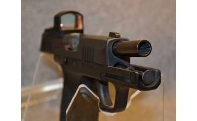 Sig Sauer P365 - Image 4 of 5