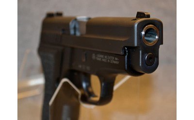 Sig Arms P229 - Image 3 of 4