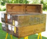 7 Winchester Model 1912 Wood Shipping Crates, Circa 1918 - 6 of 10