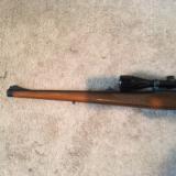 STEYR MODEL L 6MM REM. CARBINE , FULL STOCK WITH DOUBLE SET TRIGGERS- 4 of 8