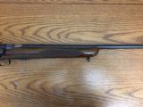 Winchester 75 Sporting , Rare , Mint ! - 3 of 13