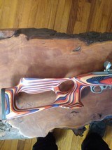 RUGER 10/22 USA SHOOTING TEAM RACE RIFLE , NEW /OLD STOCK ! - 13 of 14