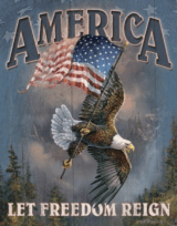 America - Let Freedom Reign Tin Sign Free Shipping - 1 of 1