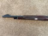 Remington Nylon 66 - .22 LR - 10 of 14