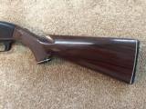 Remington Nylon 66 - .22 LR - 4 of 14