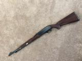 Remington Nylon 66 - .22 LR - 1 of 14