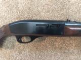 Remington Nylon 66 - .22 LR - 8 of 14