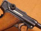 RARE DWM Model 1906 "American Eagle" Luger 9mm - 12 of 15