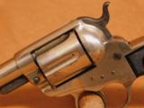 Colt Lightning Store Keepers Model 1877 (Etched) - 3 of 12