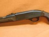 Remington Nylon 66 SENECA GREEN, 1st Year 22LR - 8 of 12