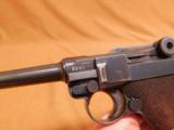 Mauser Luger S/42 1938-Coded Nazi German WW2 - 4 of 11