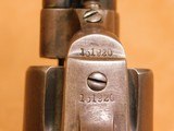 Colt Single Action Army (SAA) Frontier Six Shooter (.44-40, 4-3/4-inch, 1893) - 11 of 15