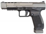 Canik TP9SFx (Tungsten Grey, Warren Sights, HG3774G-N) - 2 of 5