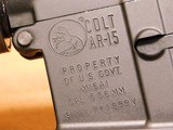 Colt Model M16A1 Vietnam/Retro Reissue (CRM16A1, AR-15, 20-inch, Semi-Auto) - 5 of 13