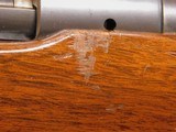 Pre-64 Winchester Model 70 Pre-War (270 Win, 24-inch, 1st Year: 1936) - 22 of 22