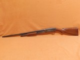 Pre-War Winchester Model 12 (16 Gauge, 28-inch, mfg 1931) - 8 of 16