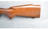 Wichester Model 70 .308 Pre 64 Featherweight - 6 of 7