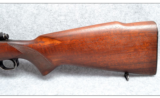 Winchester Model 70 in .257 Roberts - 7 of 7