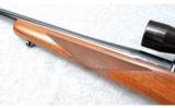 Ruger M77 in 7MM Rem Mag - 7 of 7